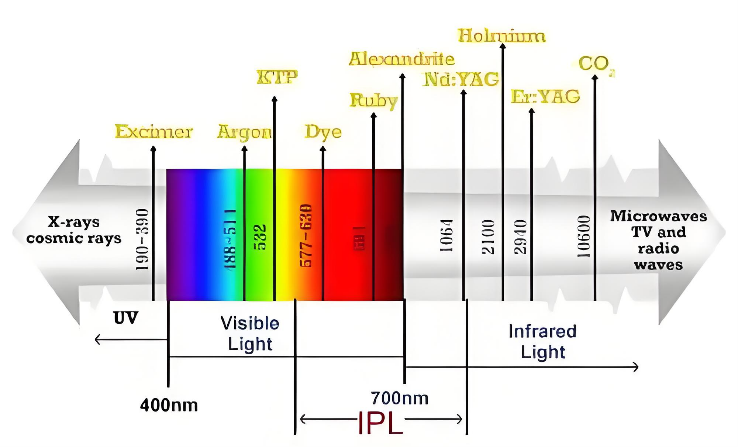 微信图片_20250314174004